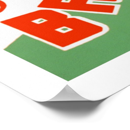 Panda Brookfield Zoo 1938 WPA Poster (Hoek)