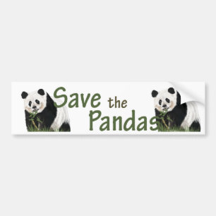 panda-bumper bumpersticker