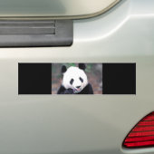 Panda Bumpersticker (Op auto)