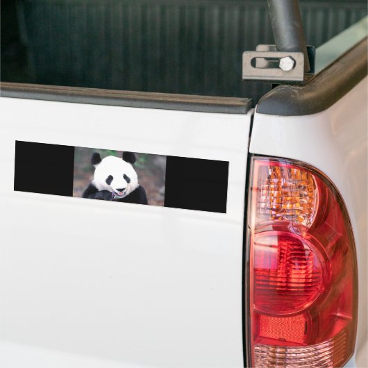 Panda Bumpersticker (Op Truck)
