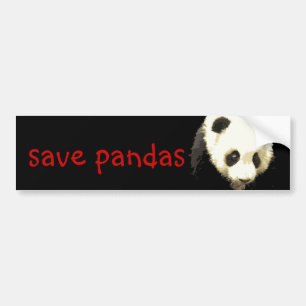Panda Bumpersticker