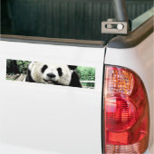 Panda Bumpersticker (Op Truck)
