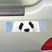 Panda Bumpersticker (Op auto)