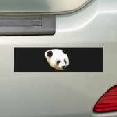 Panda Bumpersticker (Op auto)