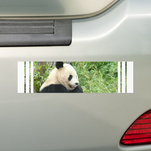 Panda Bumpersticker (Op auto)