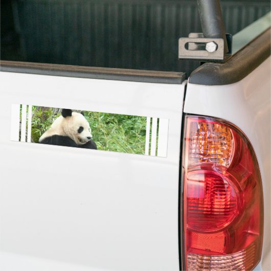 Panda Bumpersticker (Op Truck)