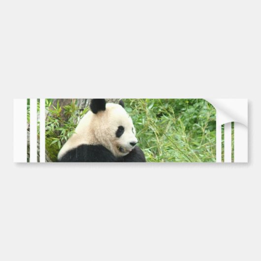 Panda Bumpersticker (Voorkant)