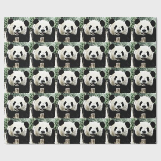 Panda Cadeaupapier (Vlak)