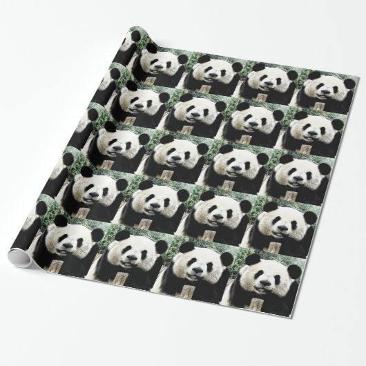 Panda Cadeaupapier (Uitgerold)