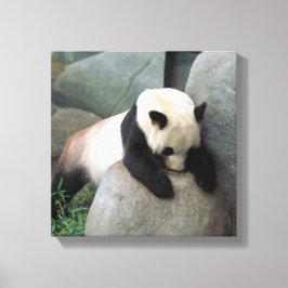 Panda Canvas Afdruk