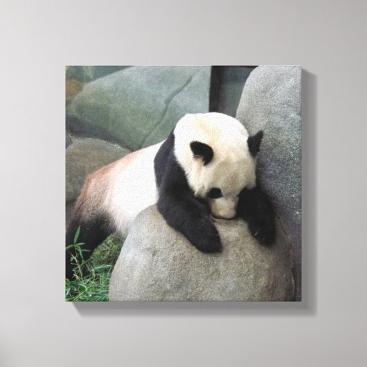 Panda Canvas Afdruk (Voorkant)