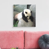 Panda Canvas Afdruk (Insitu (Woonkamer))