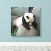 Panda Canvas Afdruk (Insitu (Houten vloer))