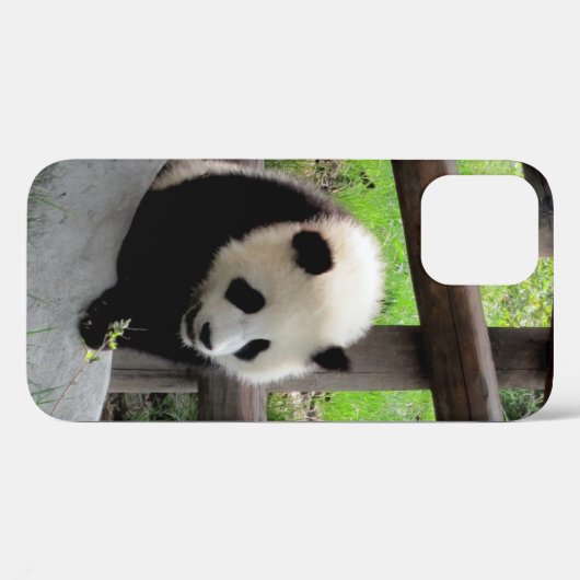 panda Case-Mate iPhone case (Achterkant (horizontaal))