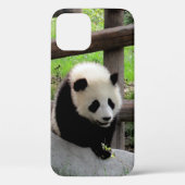 panda Case-Mate iPhone case (Achterkant)