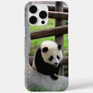 Panda iPhone 16 Pro Max Hoesje