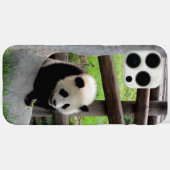 Panda Case-Mate iPhone Case (Achterkant (horizontaal))