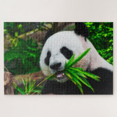 Panda Chewing on Bamboo Legpuzzel (Horizontaal)