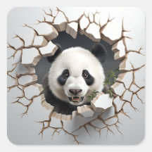 Panda Cracked Hole Art Panda Smashed Wall 3D