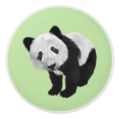 Panda Cub Green Keramische Knop (Voorkant)