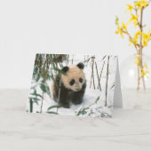 Panda cub op sneeuw, Wolong, Sichuan, China 2 Kaart (Gele Bloem)