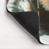 Panda cub op sneeuw, Wolong, Sichuan, China Muismat (Hoek)