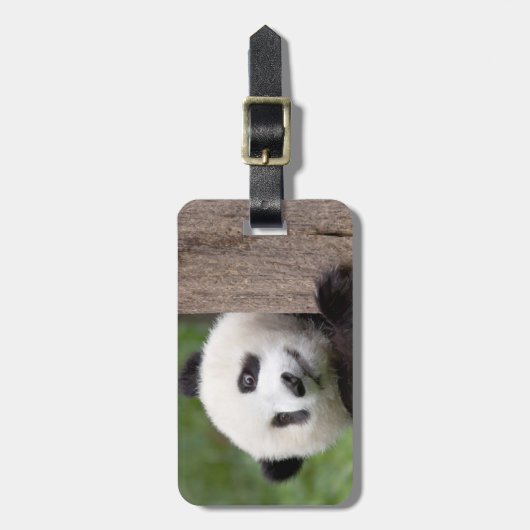 Panda cub schilderij bagagelabel (Voorkant verticaal)