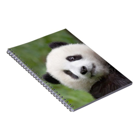 Panda cub schilderij notitieboek (Rechterzijde)