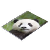 Panda cub schilderij notitieboek (Linkerzijde)