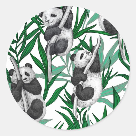 Panda cubs op ronde sticker (Voorkant)