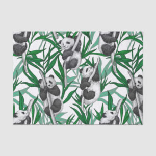 Panda cubs op tissuepapier