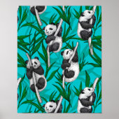 Panda cubs over turkooizen poster (Voorkant)