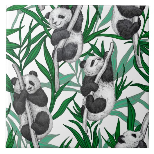 Panda cubs tegeltje (Voorkant)