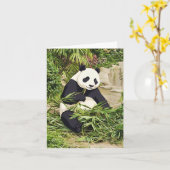 Panda die bamboe eet wenskaart kaart (Gele Bloem)