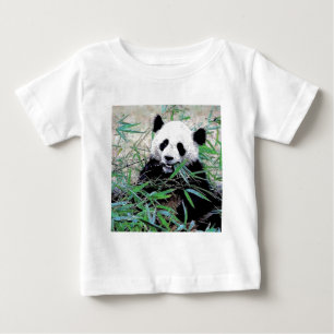 Panda die bladeren eet