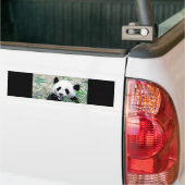 Panda die bladeren eet bumpersticker (Op Truck)