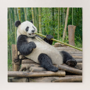 Panda die kauwt op een bamboestengel legpuzzel