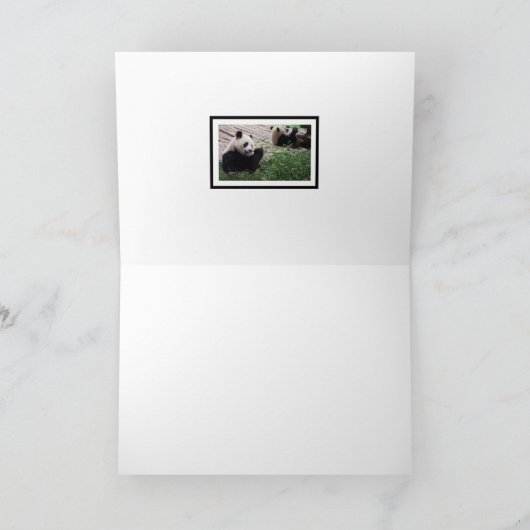 Panda Dream Blank Kaart (Binnen)