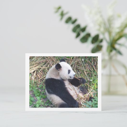 Panda Eating Briefkaart (Staand voorkant)