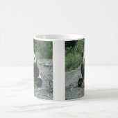 Panda Eating Koffiemok (Center)