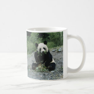 Panda Eating Koffiemok