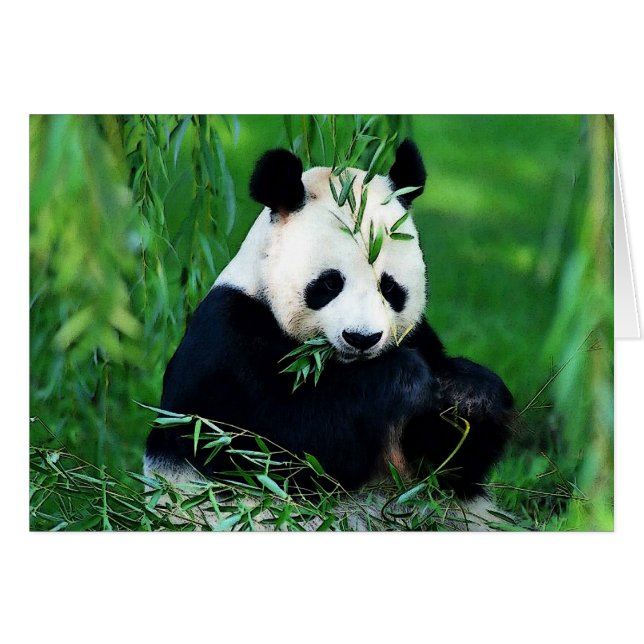 Panda Eating Leaves (Voorkant Horizontaal)