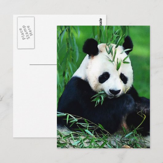 Panda Eating Leaves Briefkaart (Voorkant / Achterkant)