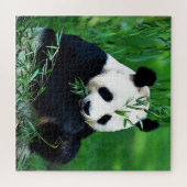 Panda Eating Leaves Legpuzzel (Horizontaal)