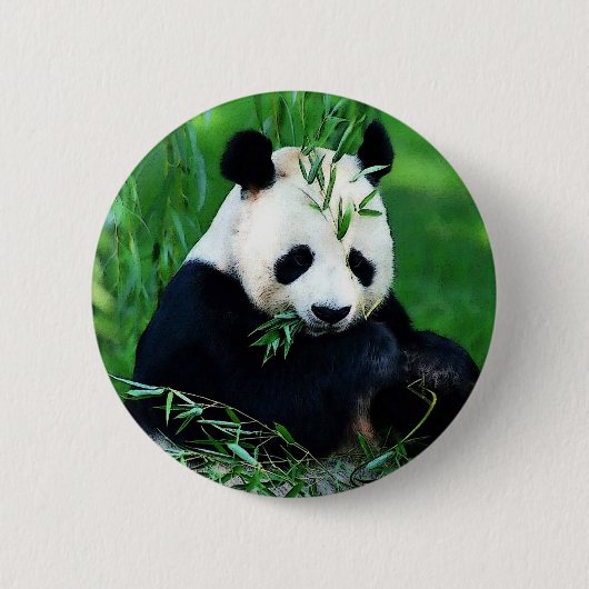 Panda Eating Leaves Ronde Button 5,7 Cm (Voorkant)