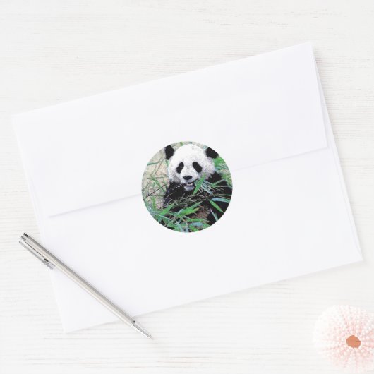 Panda Eating Leaves Ronde Sticker (Envelop)