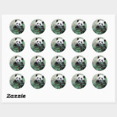 Panda Eating Leaves Ronde Sticker (Vel)
