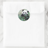 Panda Eating Leaves Ronde Sticker (Tas)