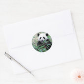 Panda Eating Leaves Ronde Sticker (Envelop)
