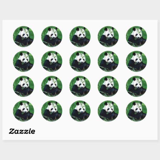 Panda Eating Leaves Ronde Sticker (Vel)